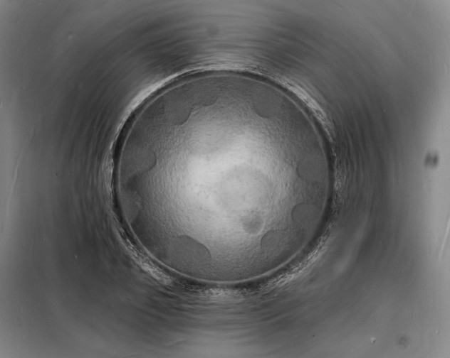 X0000098230933200805011254