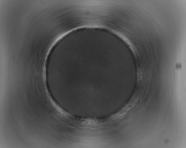 X0000098230935200805011254