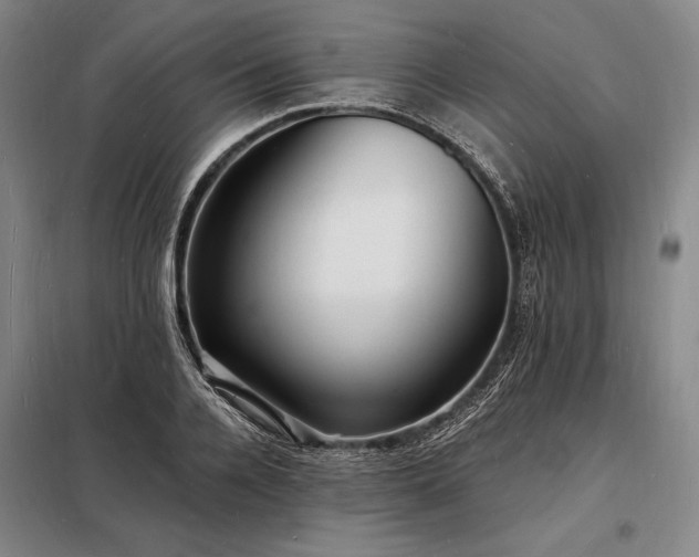 X0000098230936200805011254