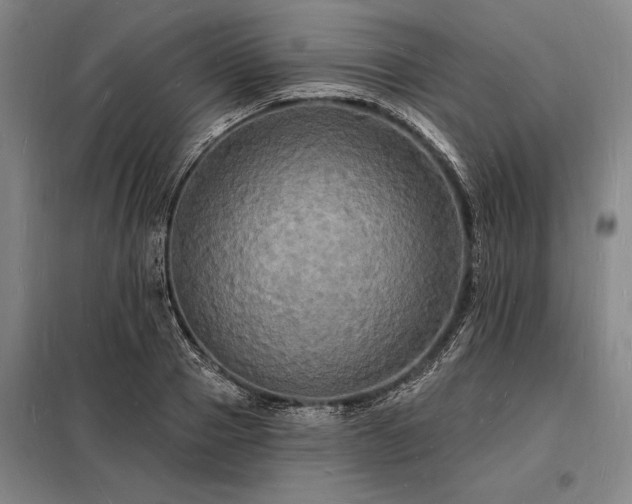 X0000098230937200805011254