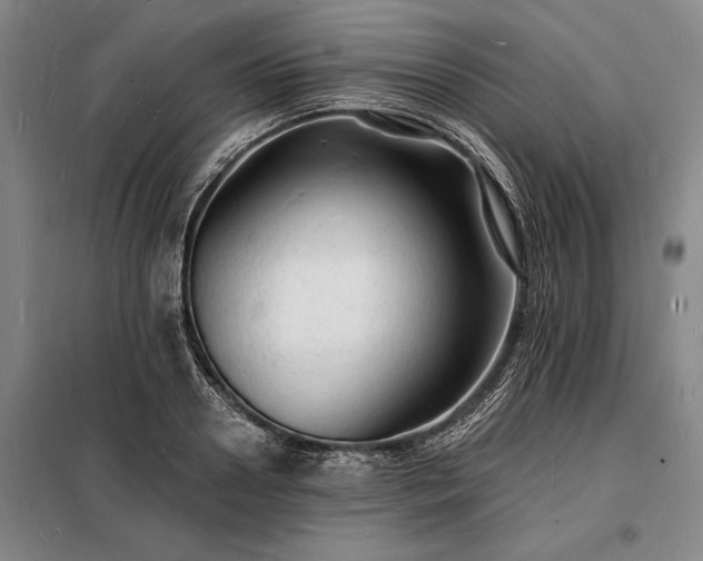 X0000098230938200805011254