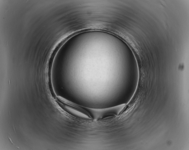 X0000098230939200805011254