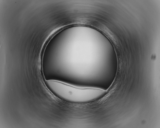X0000098230940200805011254