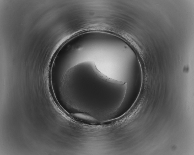 X0000098230941200805011254