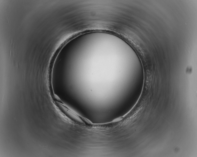 X0000098230942200805011254