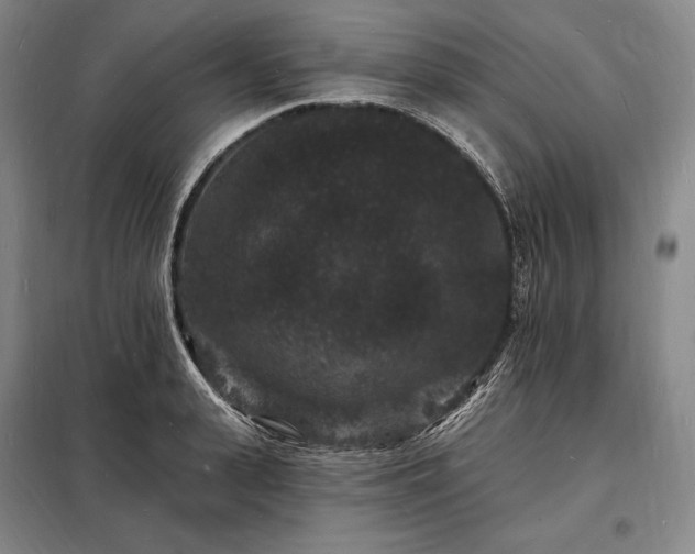 X0000098230943200805011254