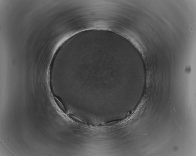 X0000098230944200805011254