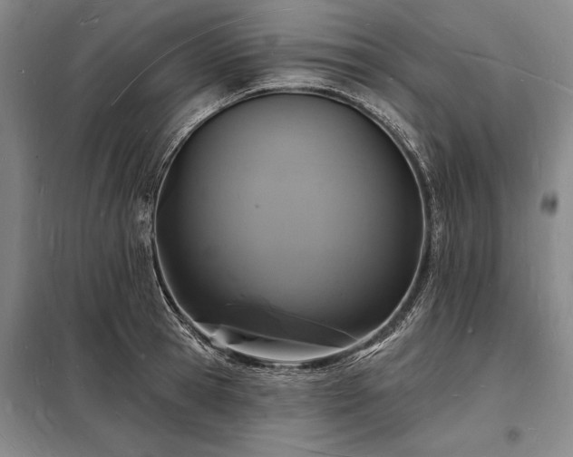 X0000098230945200805011254