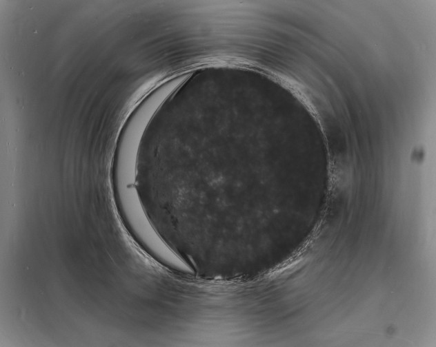 X0000098230946200805011254