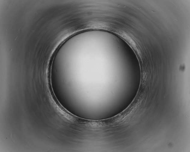 X0000098230947200805011254