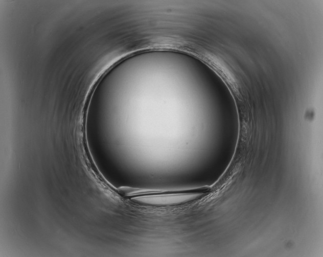 X0000098230948200805011254