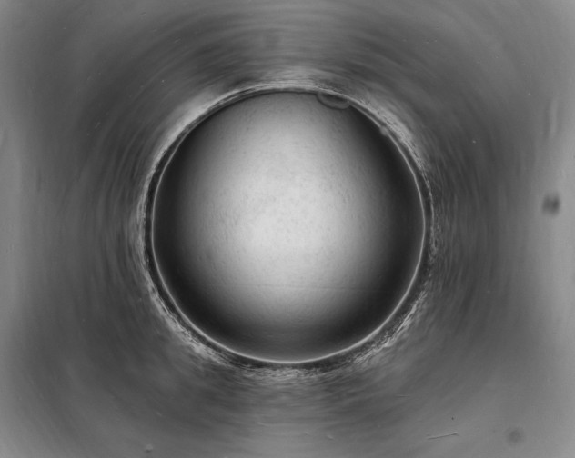 X0000098230949200805011254