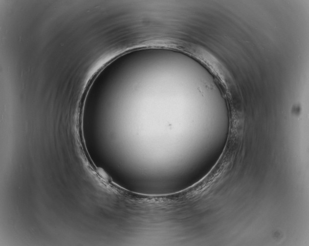 X0000098230952200805011254