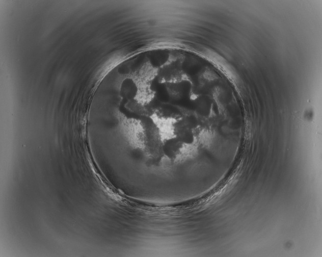 X0000098230953200805011254