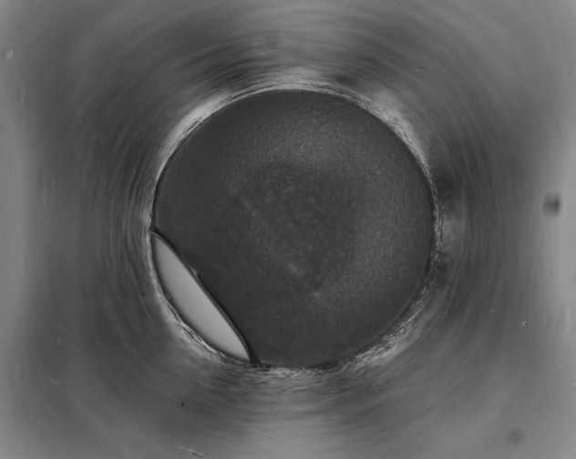 X0000098230954200805011254