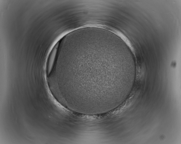 X0000098230955200805011254
