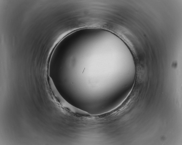 X0000098230956200805011254