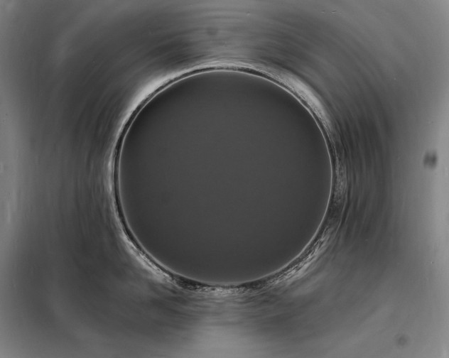 X0000098230958200805011254
