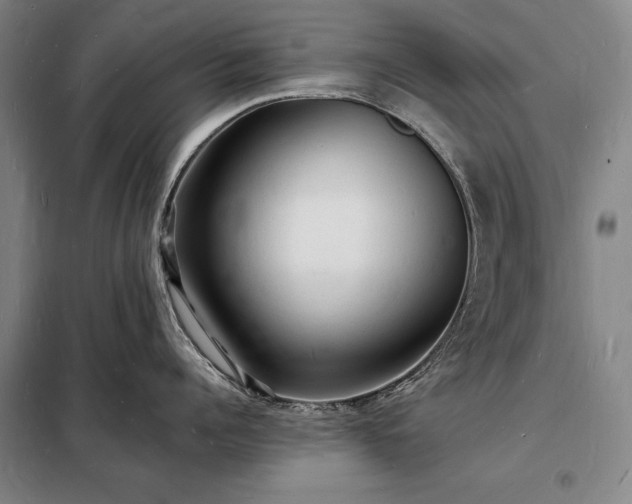 X0000098230960200805011254