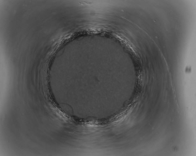 X0000098230961200805011254