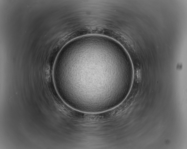X0000098230963200805011254