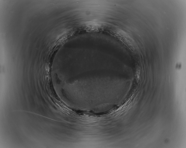 X0000098230964200805011253