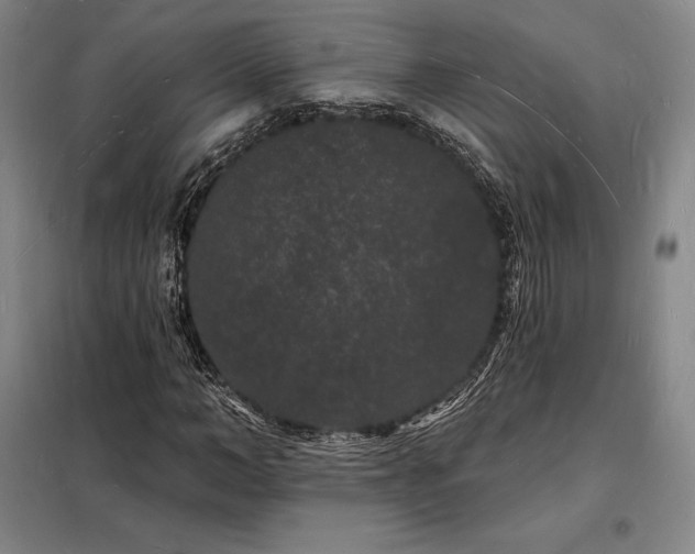 X0000098230966200805011253