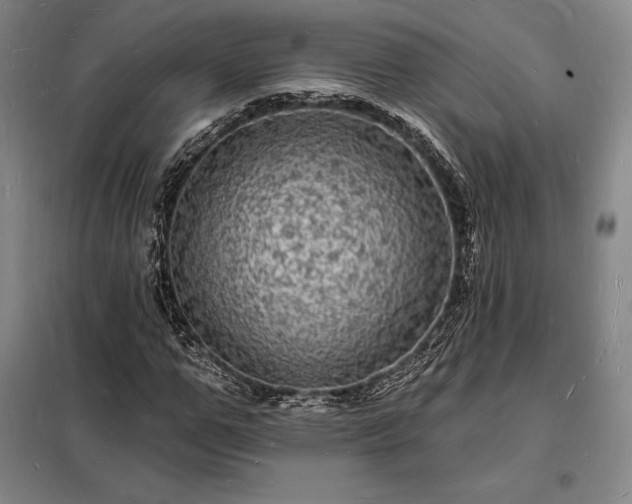 X0000098230967200805011253