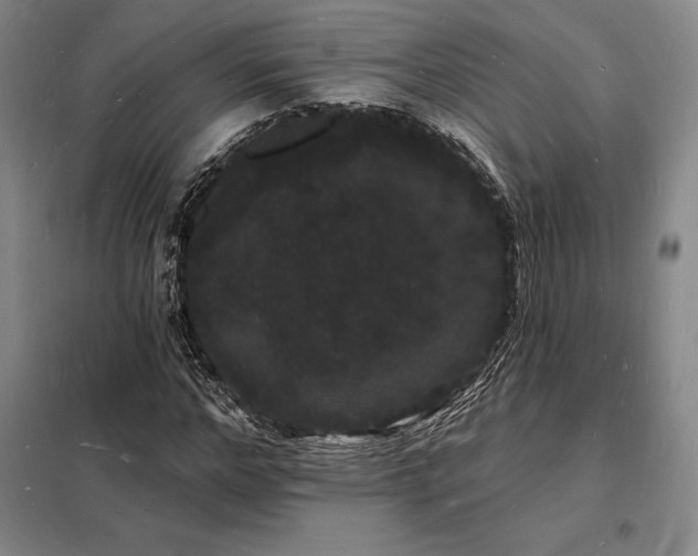 X0000098230968200805011253