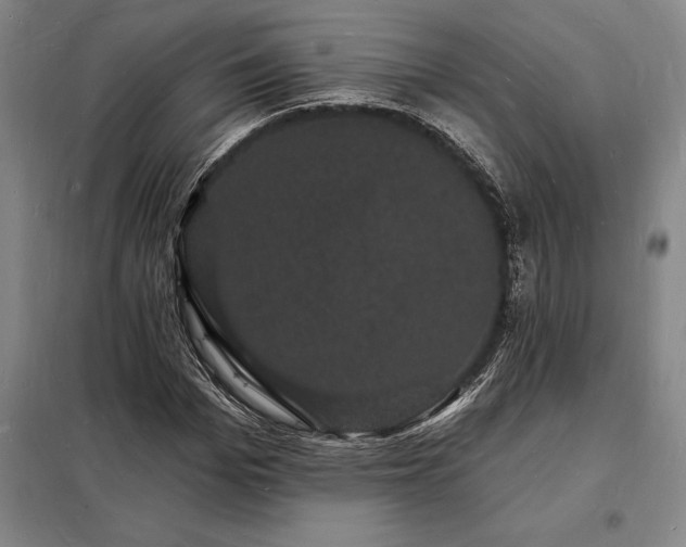 X0000098230969200805011253