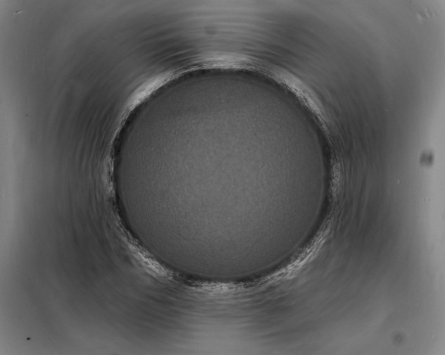X0000098230970200805011253