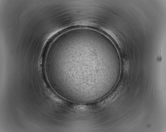X0000098230971200805011253