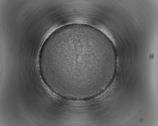 X0000098230972200805011253