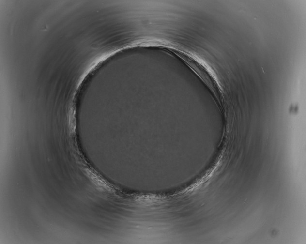 X0000098230973200805011253