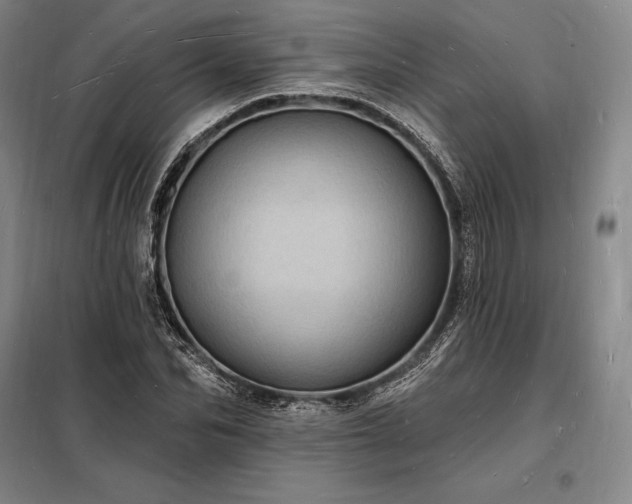 X0000098230974200805011253