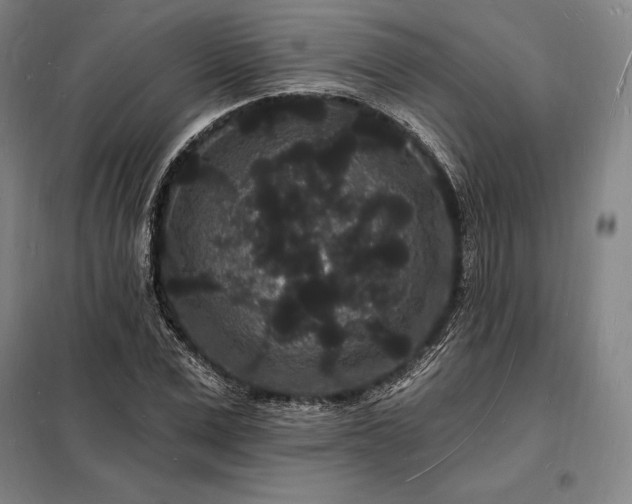 X0000098230975200805011253