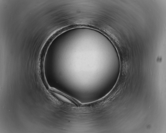 X0000098230976200805011253