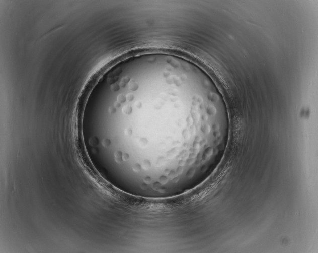 X0000098230982200805011253