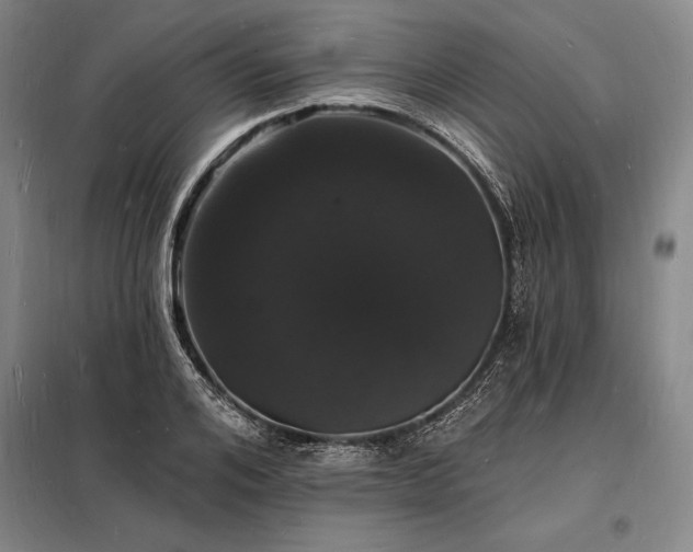 X0000098230984200805011253