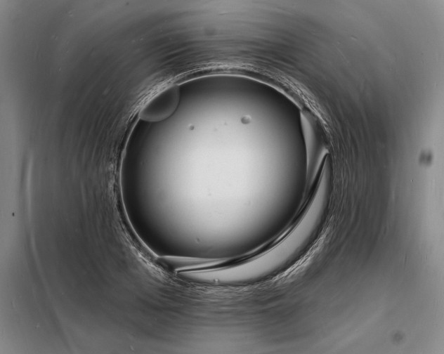 X0000098230985200805011253