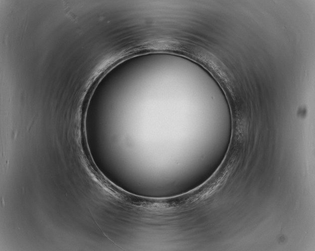 X0000098230986200805011253