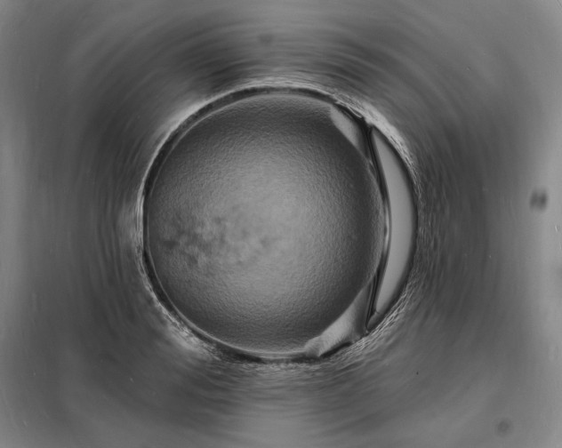 X0000098230988200805011253