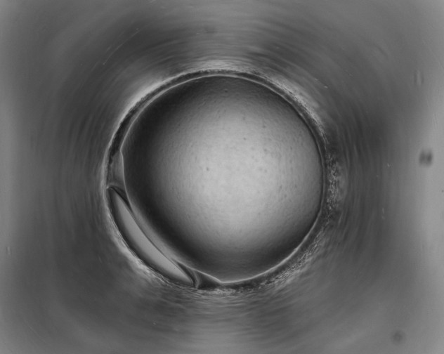 X0000098230991200805011253