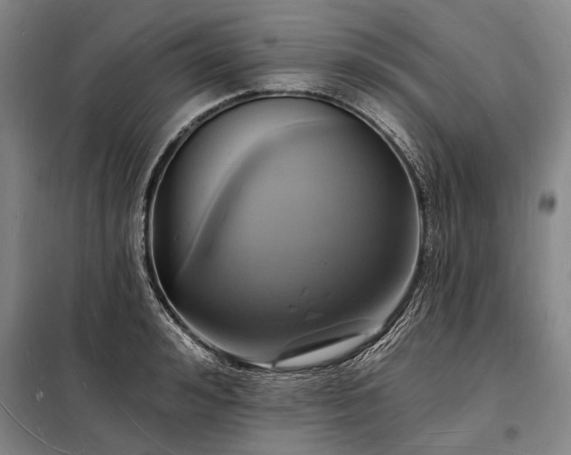 X0000098230992200805011253