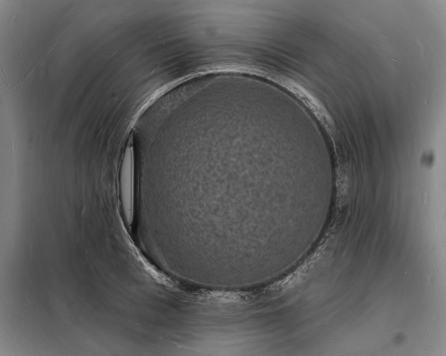X0000098230993200805011253