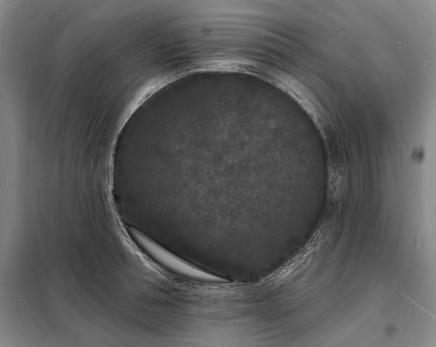 X0000098230994200805011253