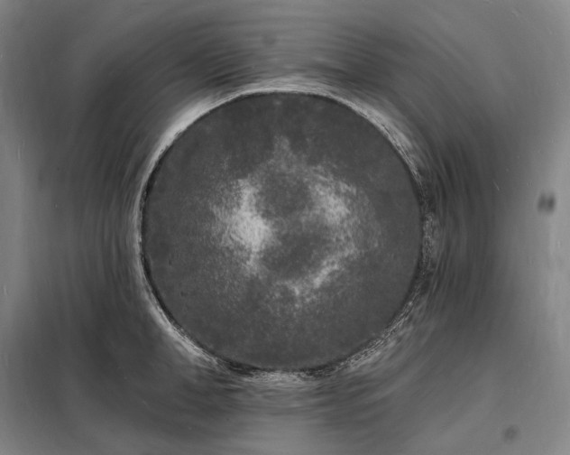 X0000098230998200805011253