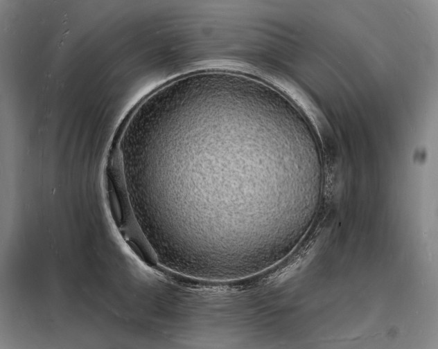 X0000098230999200805011253