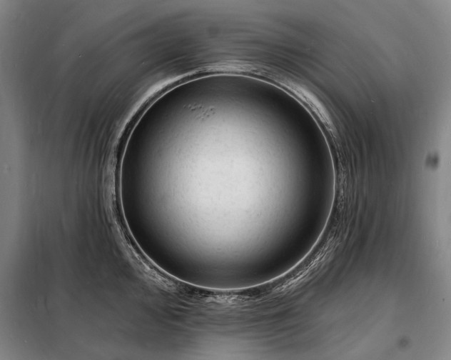 X0000098231000200805011253