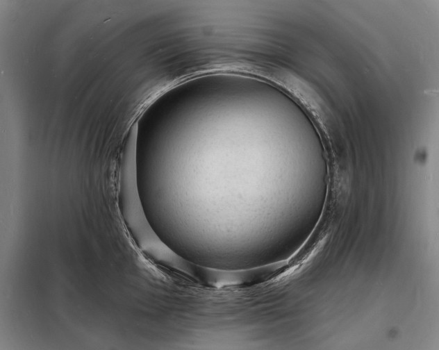 X0000098231001200805011253